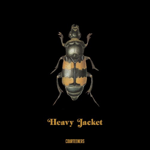 Heavy Jacket封面