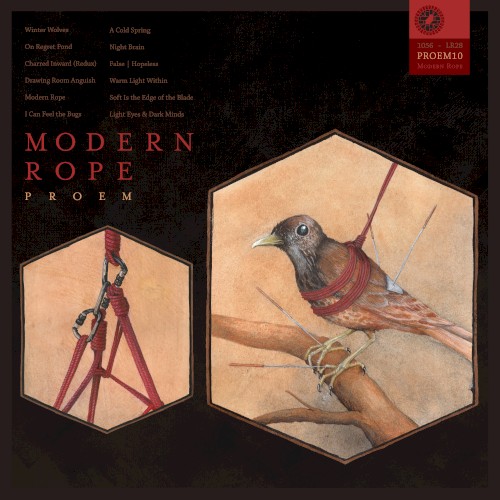 Modern Rope封面