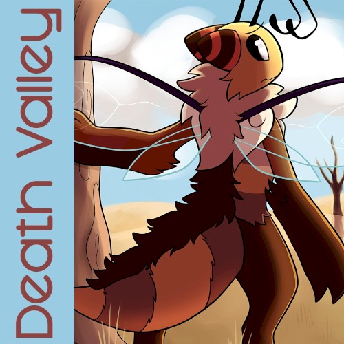 Death Valley封面