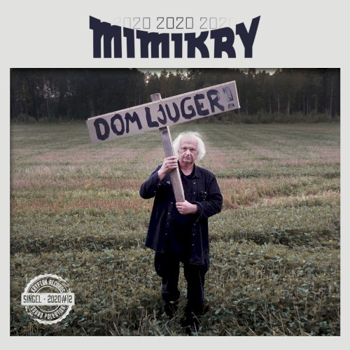 Dom ljuger封面