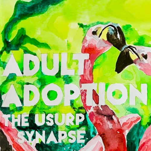 Adult Adoption封面
