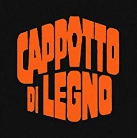 Cappotto di legno封面