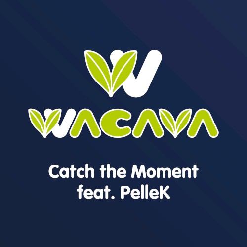 Catch the Moment封面