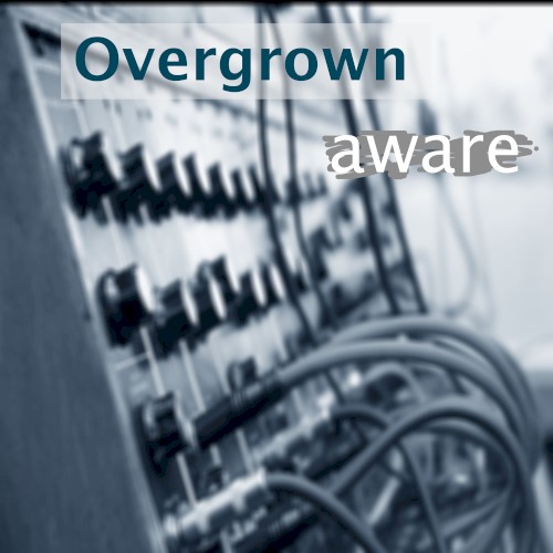 Overgrown (Radio Edit)封面