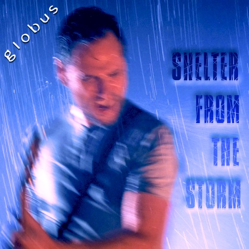 Shelter From the Storm封面