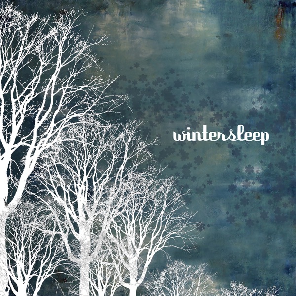 Wintersleep封面