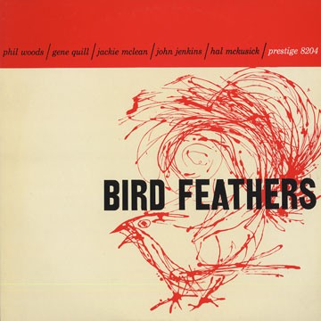 Bird Feathers封面