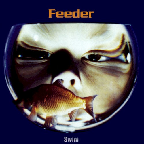 Swim封面