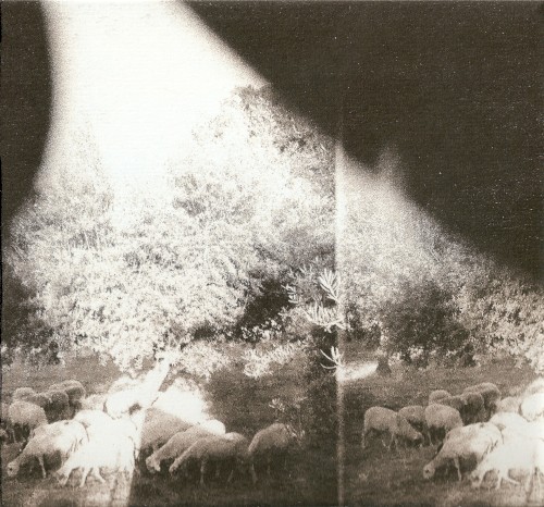 ‘Asunder, Sweet and Other Distress’封面