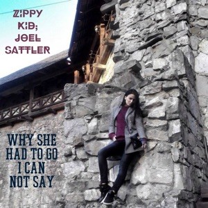 Why She Had to Go I Can Not Say封面