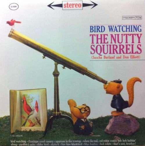 Bird Watching封面