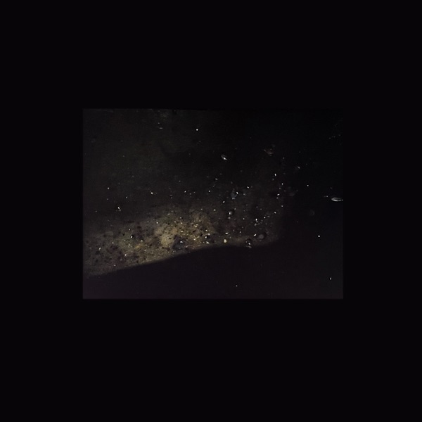 Lichten / Walden封面