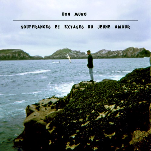 Souffrances et extases du jeune amour封面