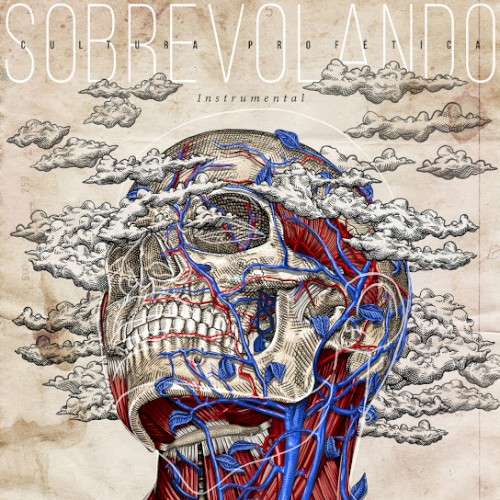 Sobrevolando Instrumental封面