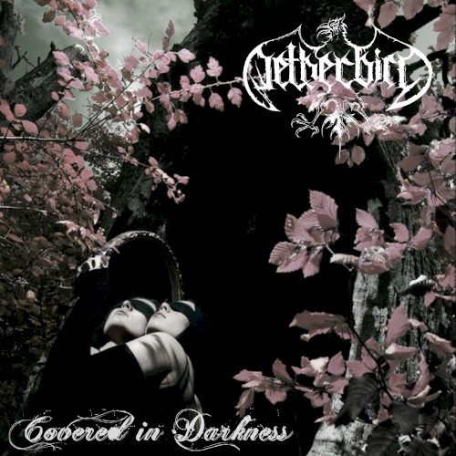 Covered in Darkness封面