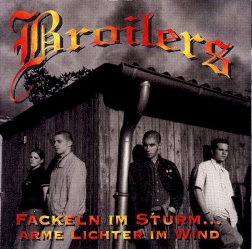 Fackeln im Sturm… Arme Lichter im Wind封面
