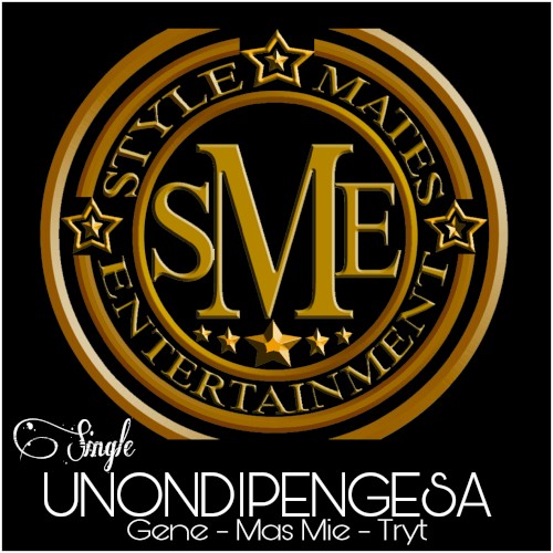 Unondipengesa封面