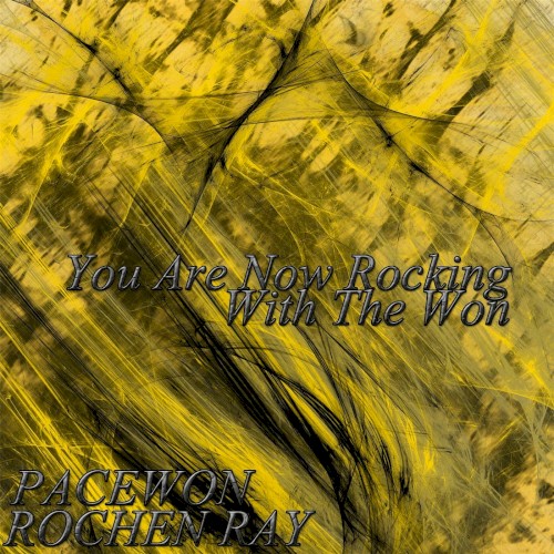 You Are Now Rocking With the Won封面