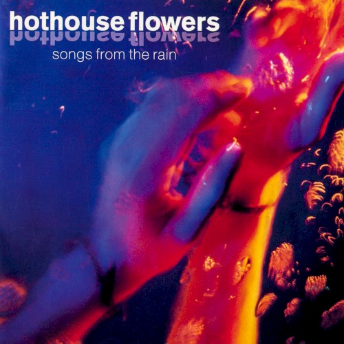 Songs From the Rain封面