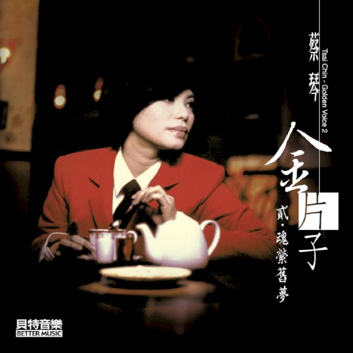 金片子: 貳· 魂縈舊夢封面