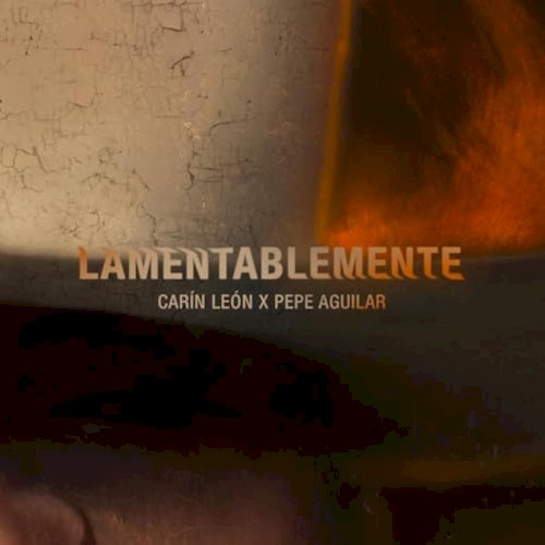 Lamentablemente封面