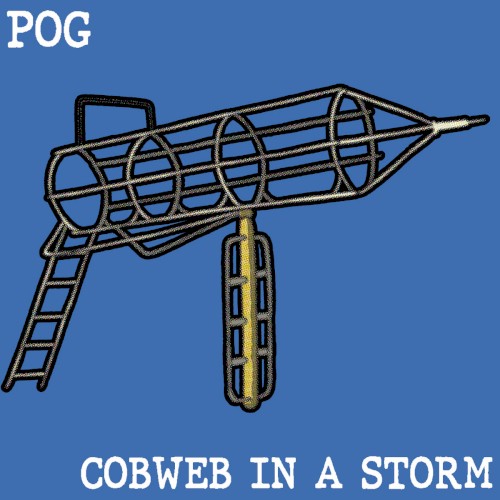 Cobweb in a Storm封面