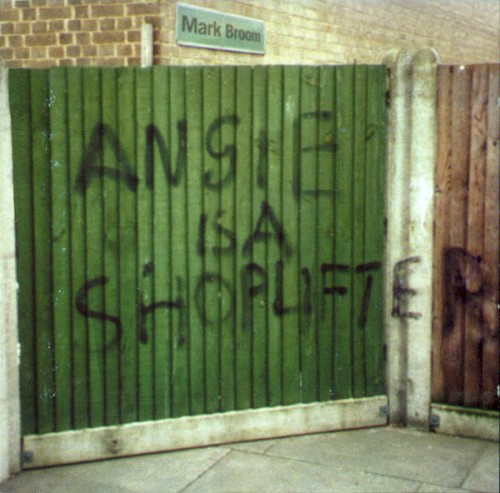 Angie Is a Shoplifter封面