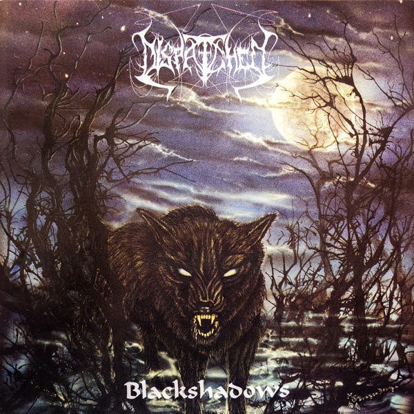 Blackshadows封面