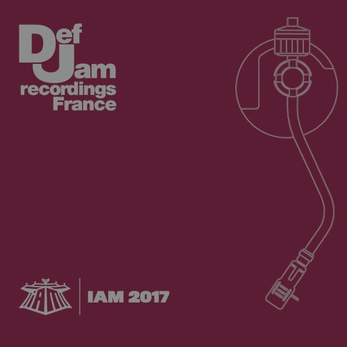 IAM 2017封面