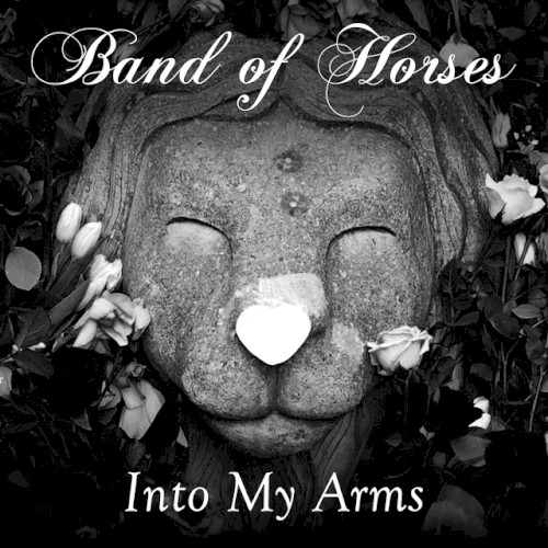Into My Arms封面