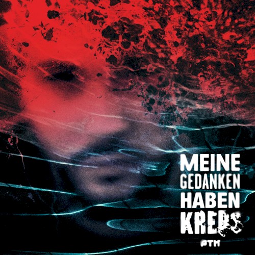 Meine Gedanken haben Krebs封面