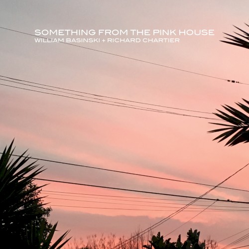 Something From the Pink House封面