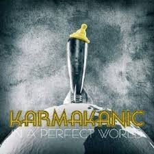 In a Perfect World封面