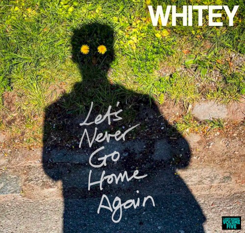LET'S NEVER GO HOME AGAIN (Lost Songs 5)封面