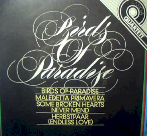 Birds of Paradise封面