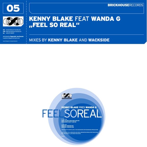 Feel So Real封面