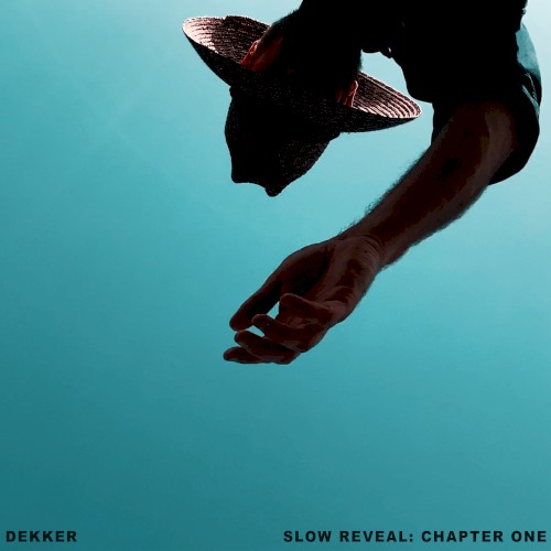 Slow Reveal: Chapter One封面