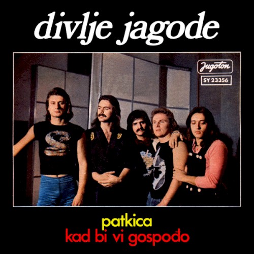 Patkica / Kad bi vi gospođo封面