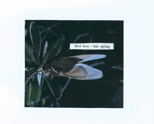 first love / late spring封面