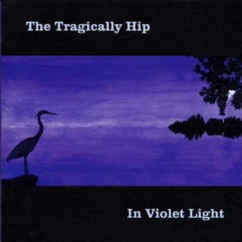 In Violet Light封面
