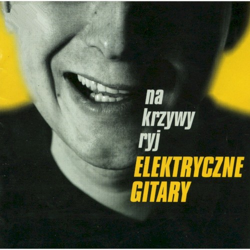 Na krzywy ryj封面