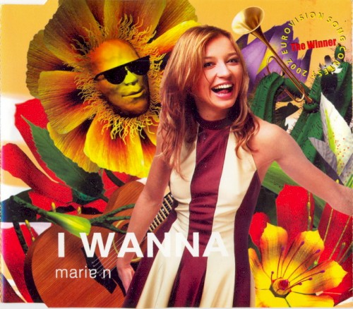 I Wanna封面