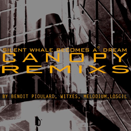 Canopy Remixs封面