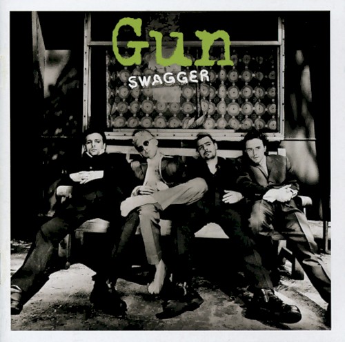 Swagger封面