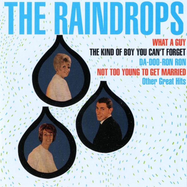 The Raindrops封面