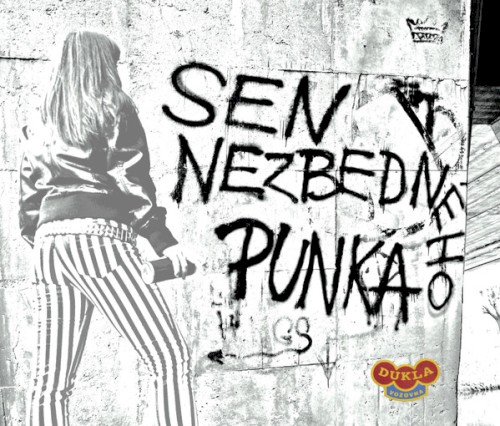 Sen nezbedného punka封面