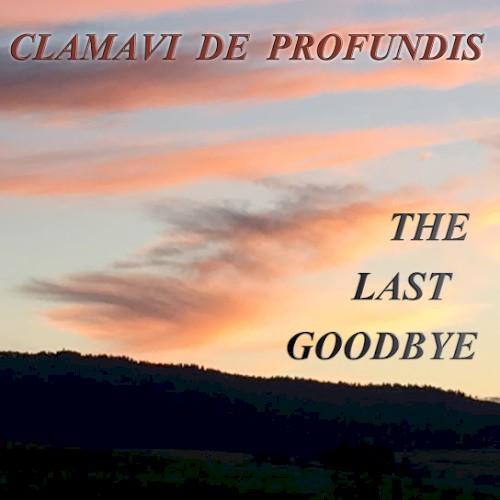 The Last Goodbye封面