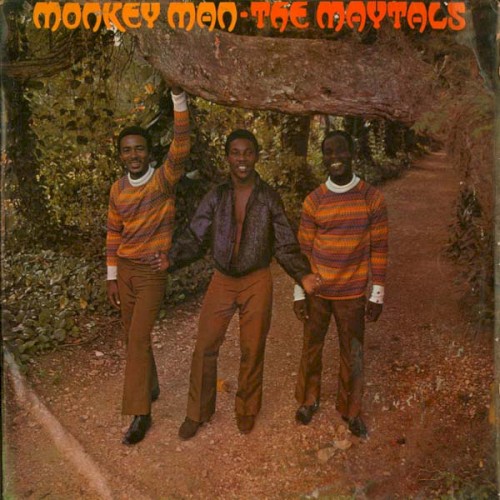 Monkey Man封面