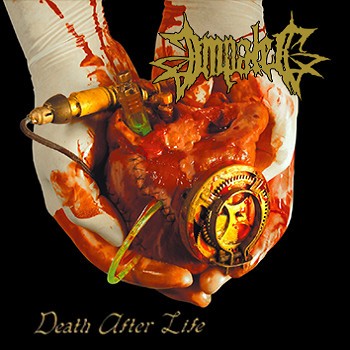 Death After Life封面