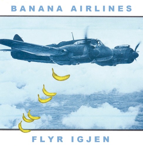 Flyr igjen封面